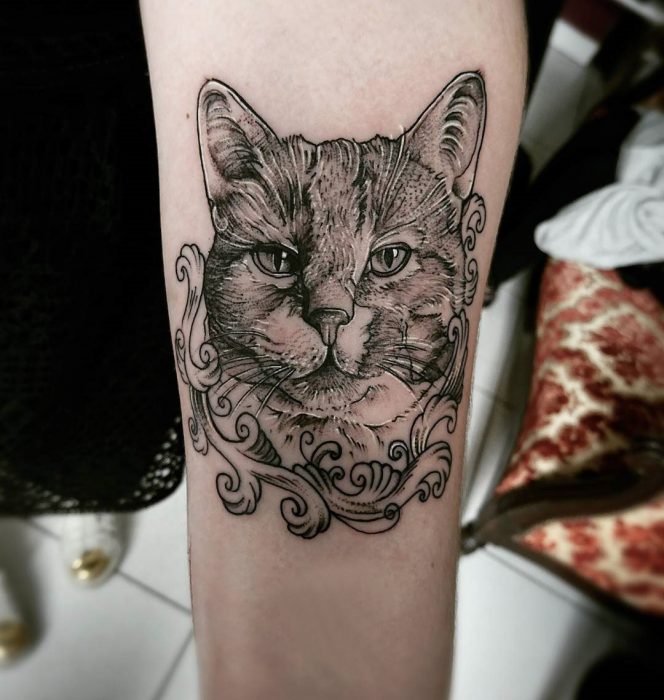 Tatuagens de gato