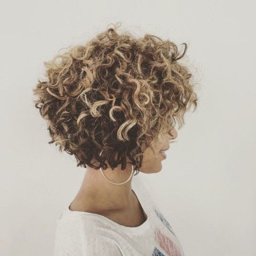 wicks-balayage-short-hair-balayage-curls-instagram